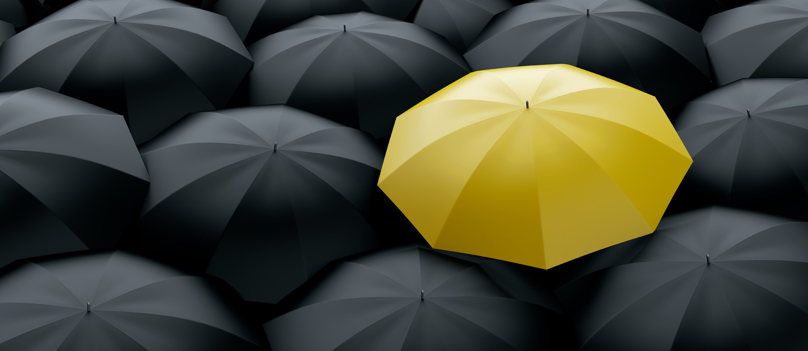 What Makes a Great Visual Brand Identity for Blogging & Social